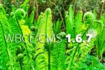 Ein ungeplanter Frühlingsrelease
